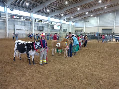 Larimer County Fair - Larimer Dairy Project