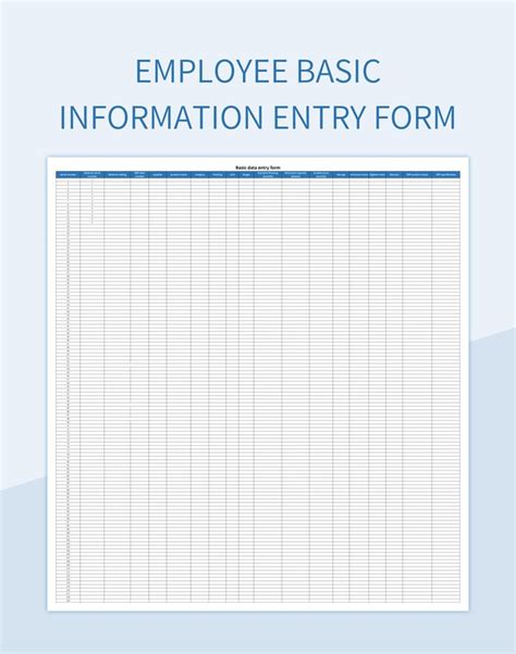 Data Entry Information Example 的图像结果