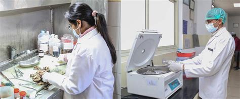 Shri Guru Ram Rai Institute Of Medical & Health Science