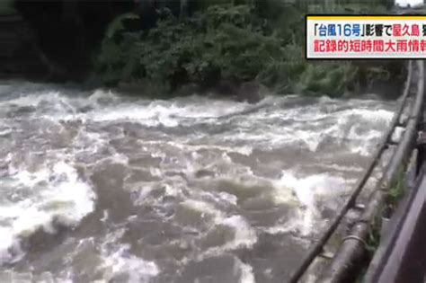 日本多地受台风影响 造成数十人受伤_新闻频道_央视网(cctv.com)