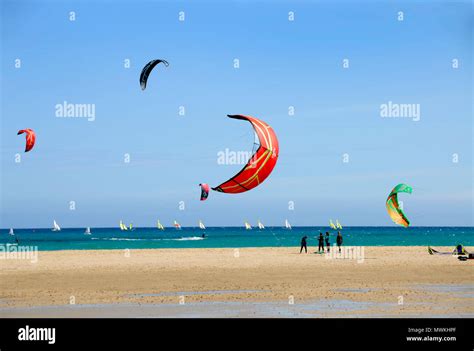 Kite 的图像结果