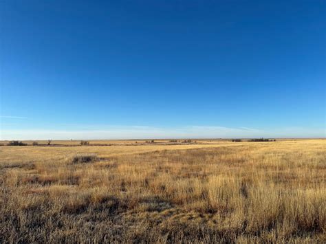 311 +/- Acres of Hunting With CRP & Future Cultivation In Morton County ...