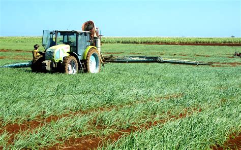 Timeline - Smart Agriculture Mauritius
