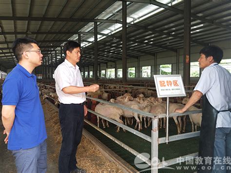 中国教育在线：浙江农林大学“牛”教授王翀团队暑期成为养殖户的科技顾问-浙江农林大学