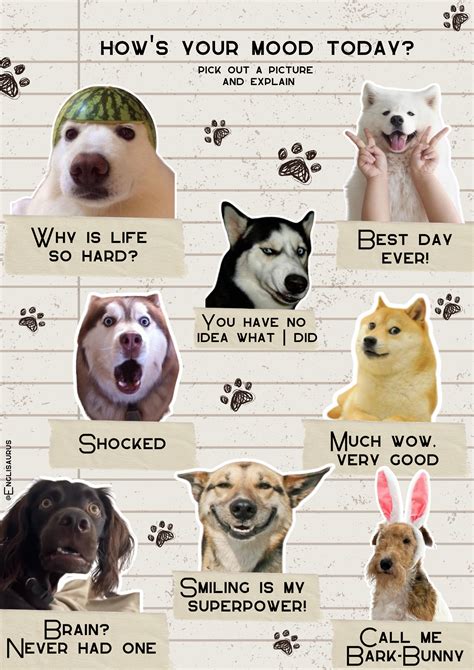 Warm up dogs | Apprendre l'anglais, Anglais, Chat