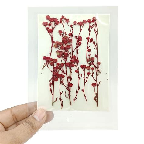 YellowCult Natural Real Dried & Pressed Flowers Sheets for Art Craft ...