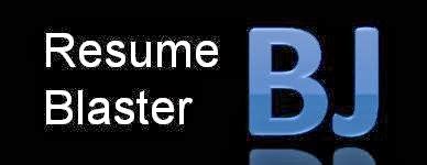 Resume Blaster: Profile of Raviraj Damakale an experienced professional ...