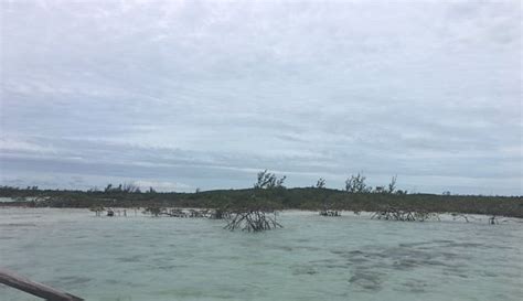 ELEVEN BAHAMA HOUSE (Harbour Island, Bahamas) - Lodge Reviews, Photos ...