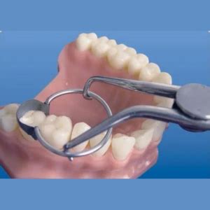 SuperEndo Russia Tor Vm Sectional Forceps with Stoppers No 1.099-2 ...