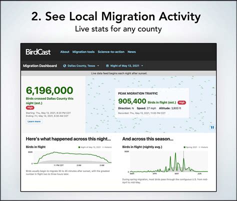 How to Use BirdCast Dashboard to See Your Local Migration in Detail ...
