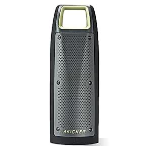 Kicker Bullfrog BF100 Wireless Bluetooth Music System - Green/Gray ...