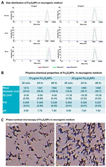 Neuron-Like Cells Generated from Human Umbilical Cord Lining-Derived ...