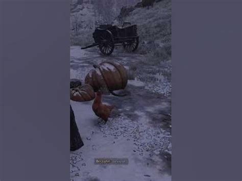 Image result for Things That Explode