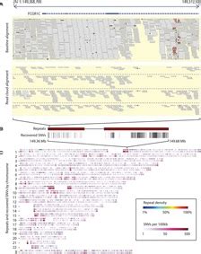 Genome Variation 的图像结果