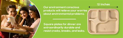 SMS HYDROTECH Disposable Plates | 5 Compartment Plate with Spoon, (Pack ...