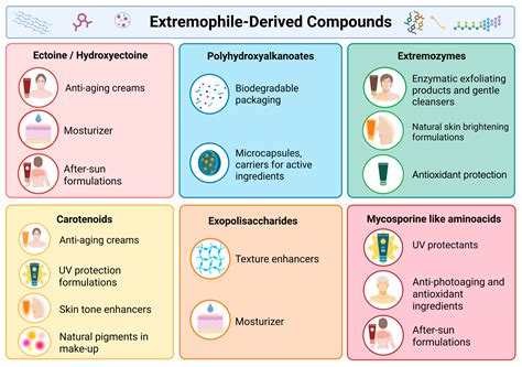 Extremophile-Derived Bioactives in Cosmeceuticals: Bridging ...