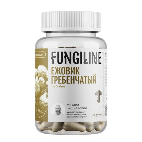 Ежовик гребенчатый купить в грибной аптеке FungiLine