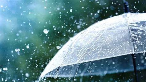 ദ്വിദിന മഴപഠന പരിസ്ഥിതി ക്യാമ്പ് ചെറുതോണിയിൽ - LOCAL - MALAPPURAM ...