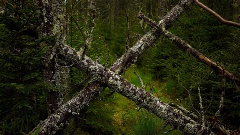 Eastern Frontier Educational Foundation