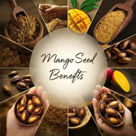 Mango Seed Benefits | AlphonsoMango.in