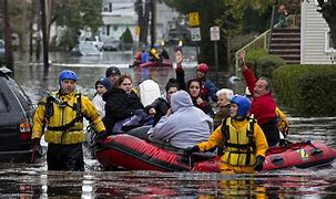 Image result for Rescues