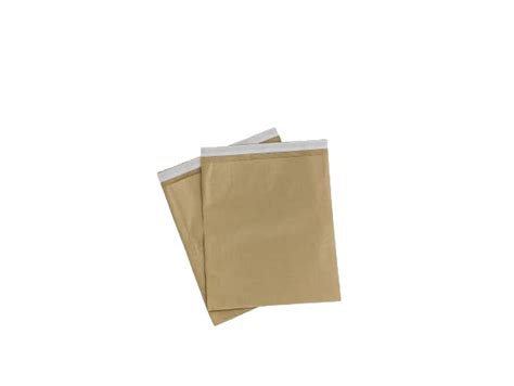 Paper Shipping Bag with foldable flap (Size: 10" x 12") | Plain Paper ...