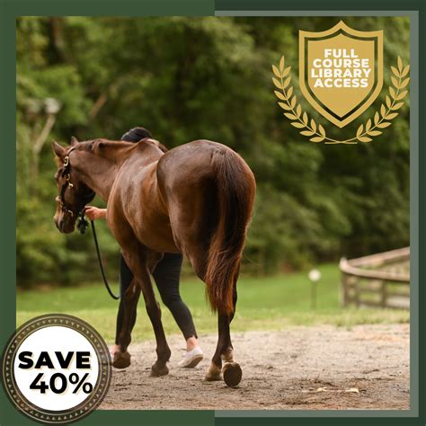 Horse Pregnancy Duration & Signs