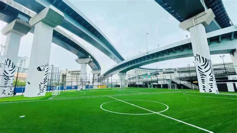 上海召开2019全市体育工作会议 - 周到上海