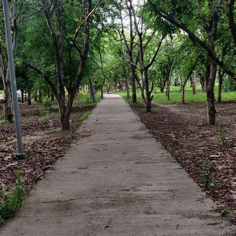 Badkhal Lake (Faridabad) - All You Need to Know BEFORE You Go
