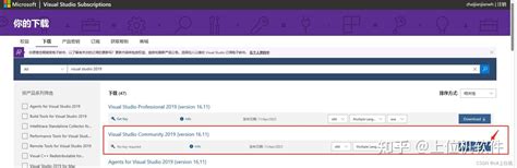 Build WinForm Program Complete Guide 的图像结果
