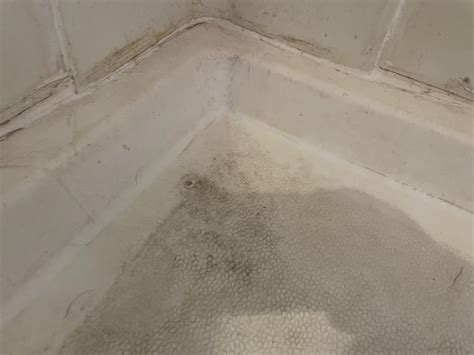How to Clean Textured Shower Walls: Quick & Easy Tips