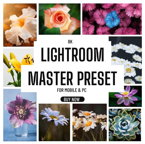 8K Lightroom Master Preset For Mobile & Pc - Digitechmart.com