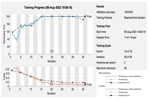 Deep Learning and Vision-Based Early Drowning Detection