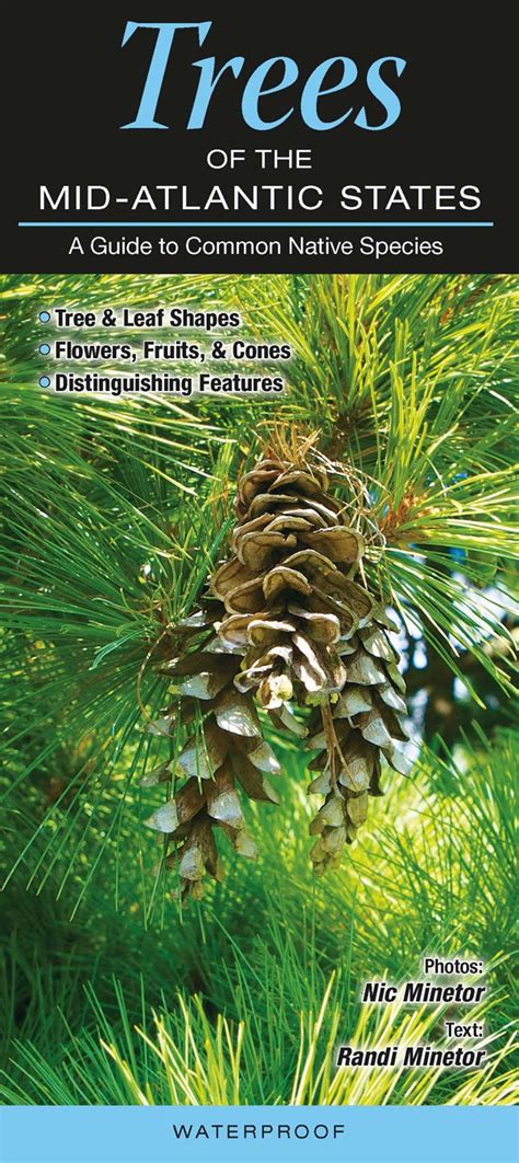 Buy Trees of the Mid-Atlantic States: A Guide to Common Native Species ...