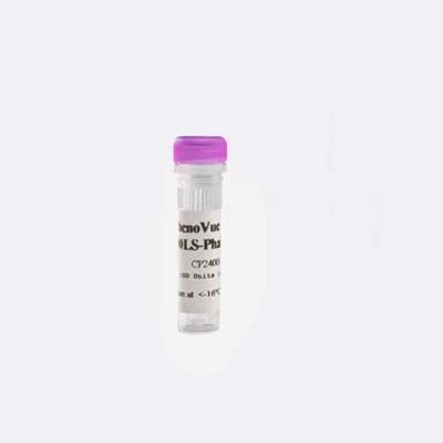 PhenoVue Fluor 400LS - Phalloidin | Revvity