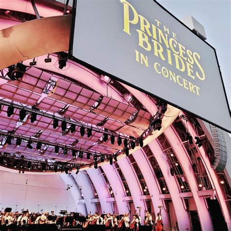 Image result for Mark Knopfler Princess Bride Live