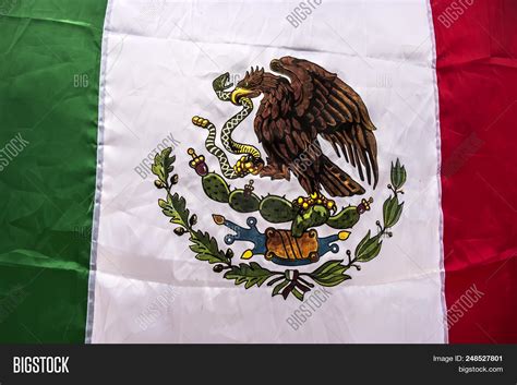 Mexican Flag Eagle