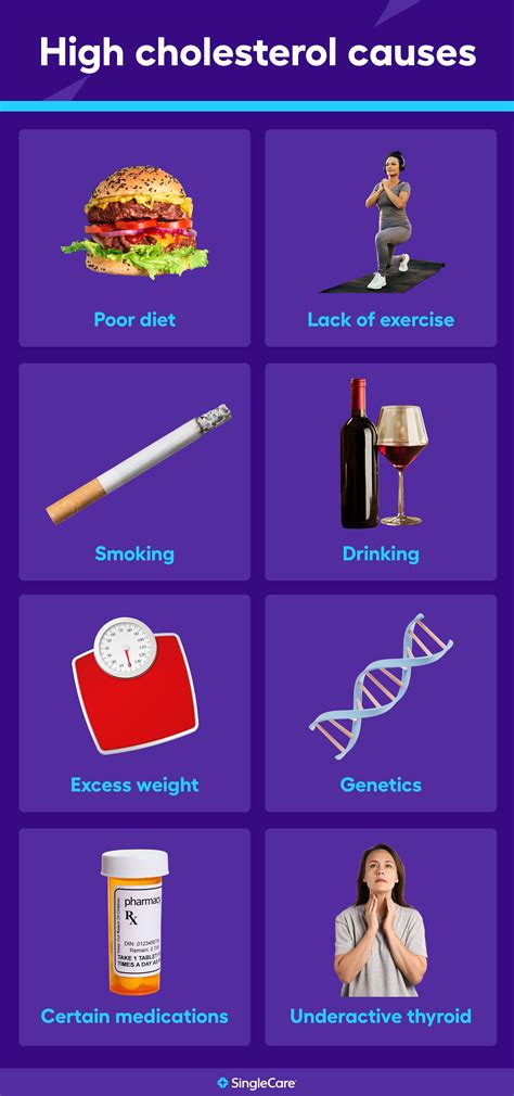 What causes high cholesterol? Diagnosis, prevention, and treatment