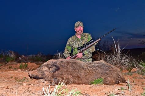 Hog Trap Shooting 的图像结果