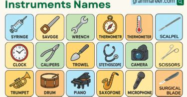 Image result for Different Types of Instruments