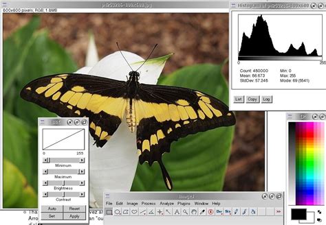 Image result for Java OS