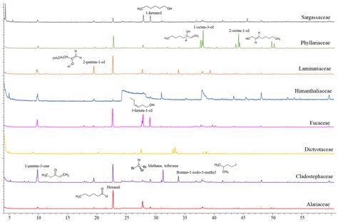 Brown Macroalgae (Phaeophyceae): A Valuable Reservoir of Antimicrobial ...