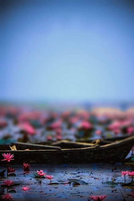 Complex Technology Landscape 的图像结果