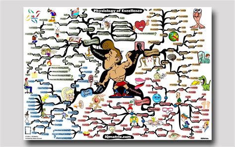 Physiology Wallpapers - Top Free Physiology Backgrounds - WallpaperAccess