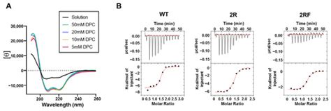 Functional Delineation of a Protein–Membrane Interaction Hotspot Site ...