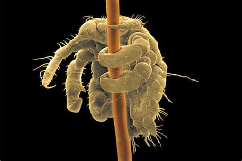 Morpion Code Python 的图像结果