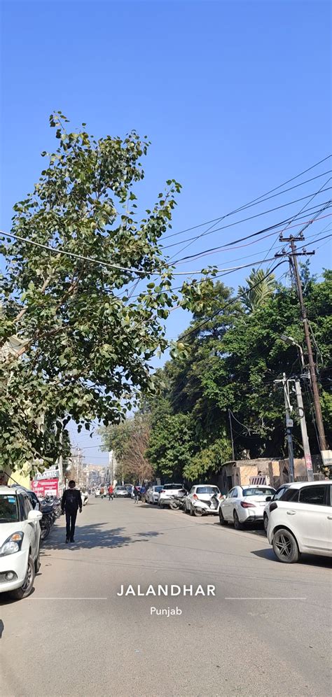 Snap map – Artofit