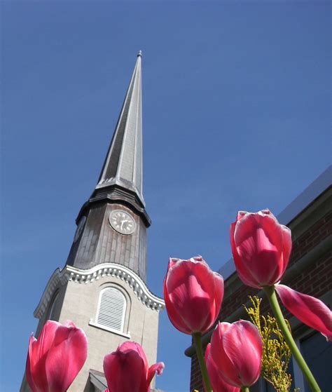 Obituaries In Utica - New York - Sadly, we had to say goodbye to Mary B ...