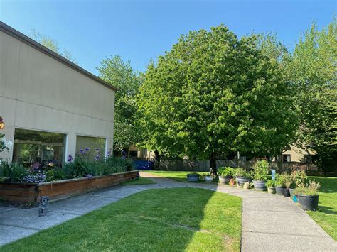 Photo Gallery | Mt Baker Care Center