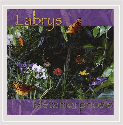 Metamorphosis: Labrys, Pat O'Brien: Amazon.in: Music}
